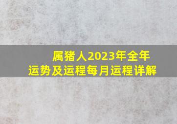 属猪人2023年全年运势及运程每月运程详解