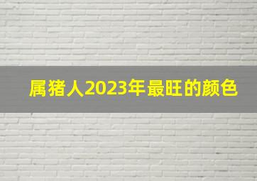 属猪人2023年最旺的颜色