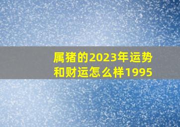 属猪的2023年运势和财运怎么样1995