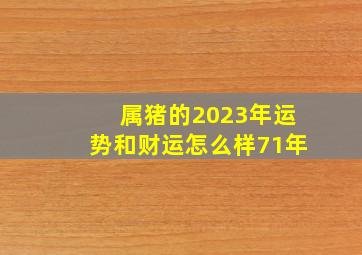 属猪的2023年运势和财运怎么样71年