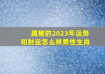 属猪的2023年运势和财运怎么样男性生肖