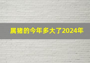 属猪的今年多大了2024年