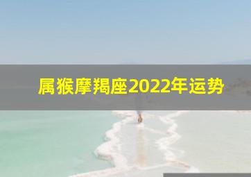 属猴摩羯座2022年运势