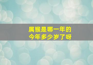 属猴是哪一年的今年多少岁了呀