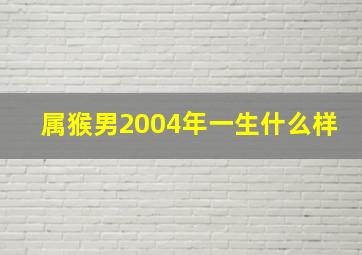 属猴男2004年一生什么样