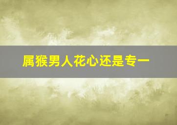 属猴男人花心还是专一