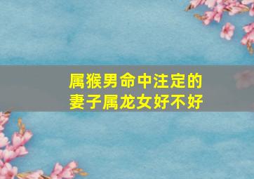 属猴男命中注定的妻子属龙女好不好