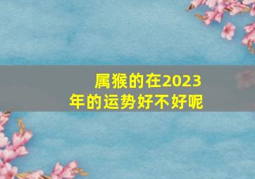 属猴的在2023年的运势好不好呢