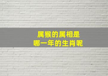 属猴的属相是哪一年的生肖呢