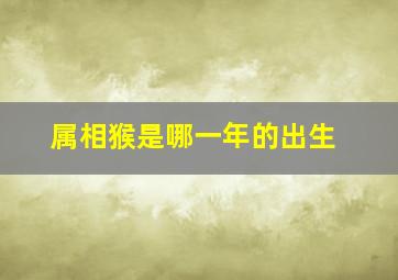 属相猴是哪一年的出生