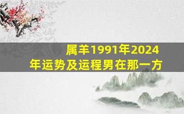 属羊1991年2024年运势及运程男在那一方