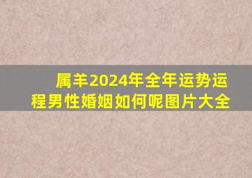 属羊2024年全年运势运程男性婚姻如何呢图片大全