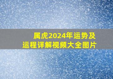 属虎2024年运势及运程详解视频大全图片