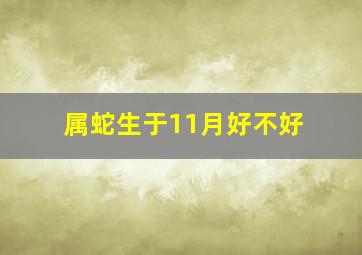 属蛇生于11月好不好