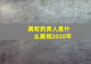 属蛇的贵人是什么属相2020年