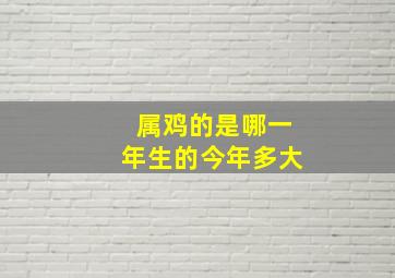 属鸡的是哪一年生的今年多大