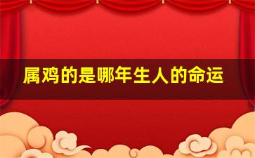 属鸡的是哪年生人的命运