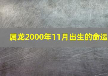 属龙2000年11月出生的命运