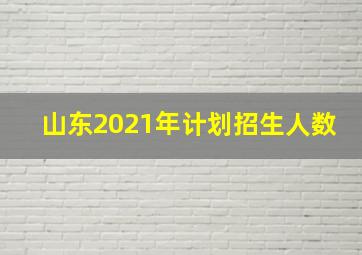 山东2021年计划招生人数