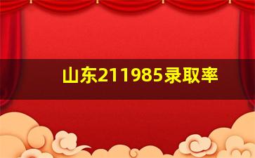 山东211985录取率