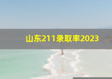 山东211录取率2023