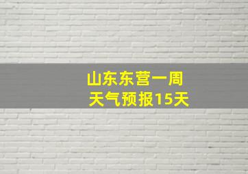 山东东营一周天气预报15天