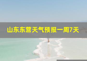 山东东营天气预报一周7天