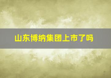 山东博纳集团上市了吗