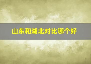 山东和湖北对比哪个好