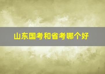 山东国考和省考哪个好