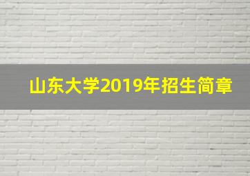 山东大学2019年招生简章