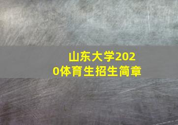 山东大学2020体育生招生简章