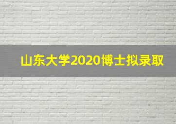 山东大学2020博士拟录取