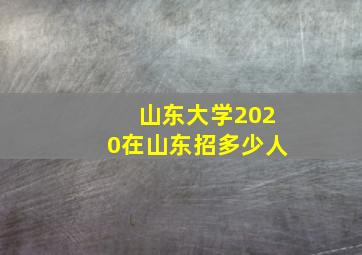 山东大学2020在山东招多少人