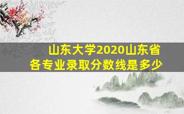 山东大学2020山东省各专业录取分数线是多少