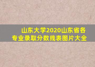 山东大学2020山东省各专业录取分数线表图片大全