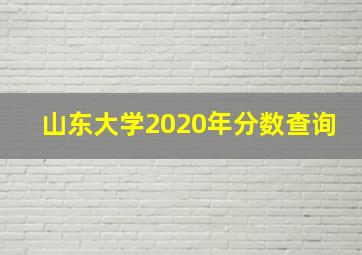 山东大学2020年分数查询