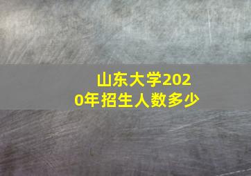 山东大学2020年招生人数多少