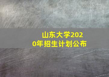 山东大学2020年招生计划公布