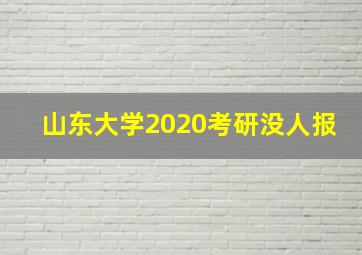 山东大学2020考研没人报