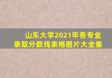 山东大学2021年各专业录取分数线表格图片大全集