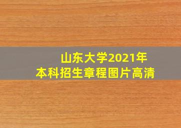 山东大学2021年本科招生章程图片高清