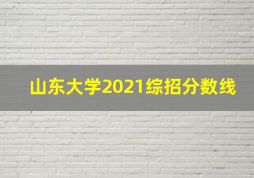 山东大学2021综招分数线