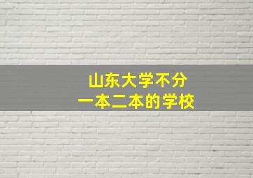 山东大学不分一本二本的学校