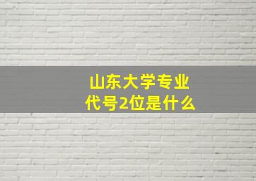 山东大学专业代号2位是什么