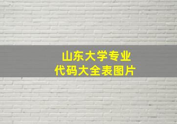 山东大学专业代码大全表图片