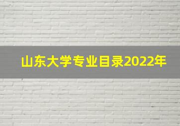 山东大学专业目录2022年