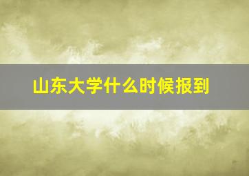 山东大学什么时候报到