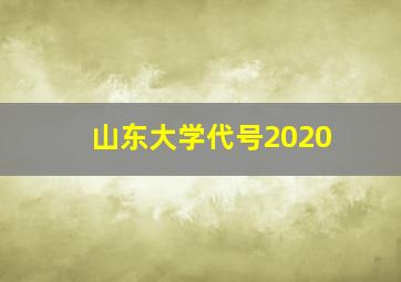 山东大学代号2020