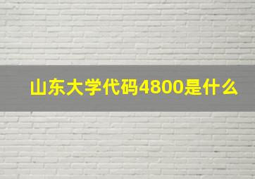 山东大学代码4800是什么